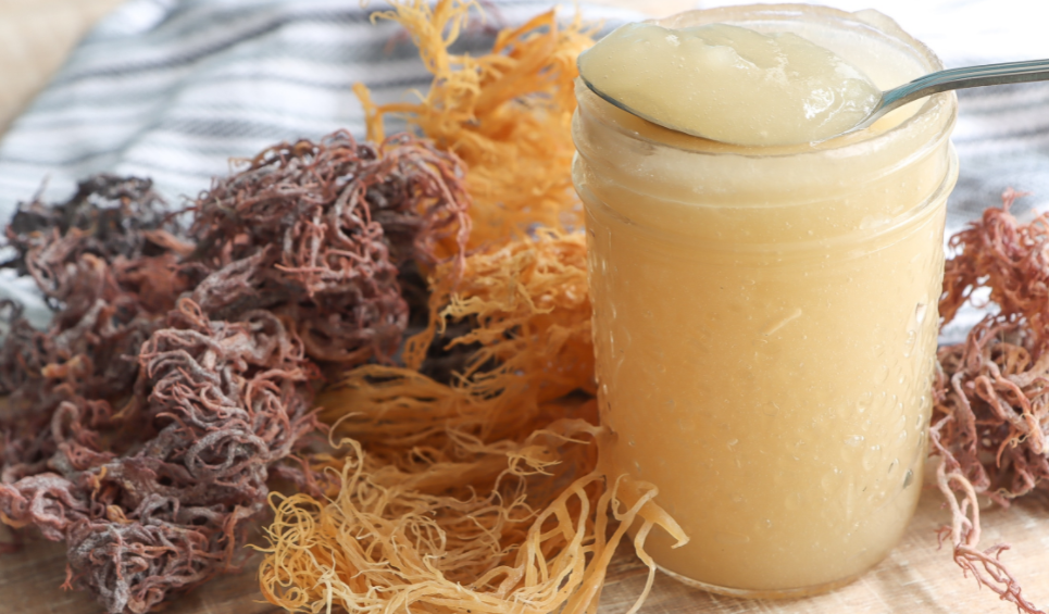 Sea moss gel