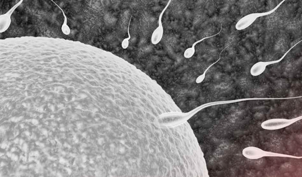 Get Artificial Insemination For Safe Reproductive Process