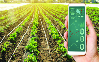 Why Having Access To Agriculture Supply Chain Is Beneficial