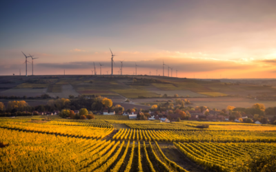 Learn About Farm Inventory Management