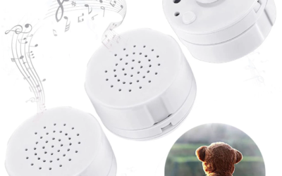 Build A Bear Voice Box In Minutes!