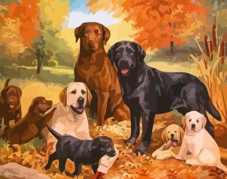 dog paint by number