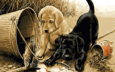 Introducing Dog Paint by Number