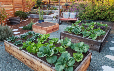 How to Build a Raised Garden Bed in 6 Easy Steps