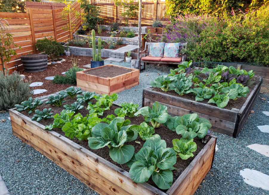 How to Build a Raised Garden Bed in 6 Easy Steps