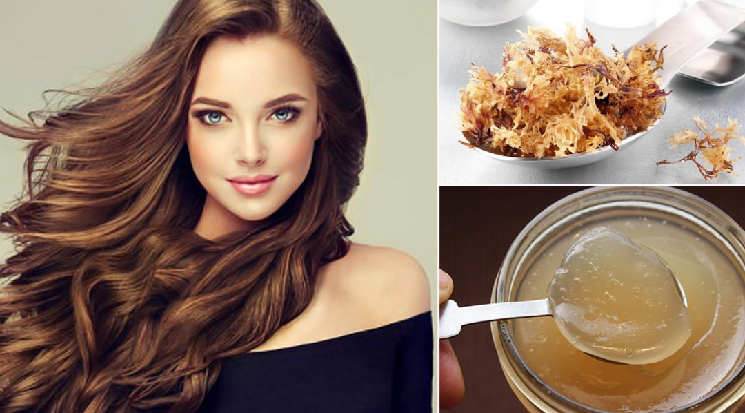 The 5 Sea Moss Benefits for Hair:
