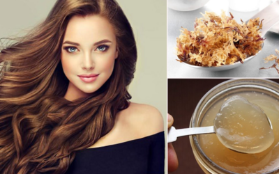 The 5 Sea Moss Benefits for Hair: