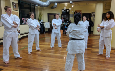 How Adult Martial Arts Classes Enhance Mental Resilience