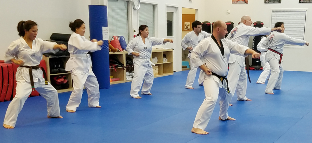 adult martial arts classes