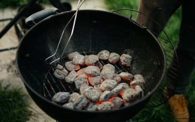 Charcoal Briquettes: The Secret to Perfect Grilling Every Time