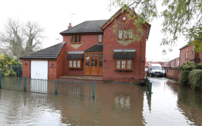 Understanding the Causes and Consequences of House Flooding in Whakatane