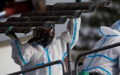 Non-Friable Asbestos Removal Course: A Comprehensive Training for Safety