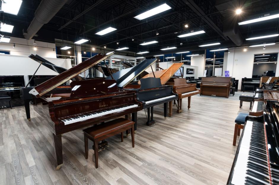 Exploring the Symphonic Array of Australian Piano Warehouses