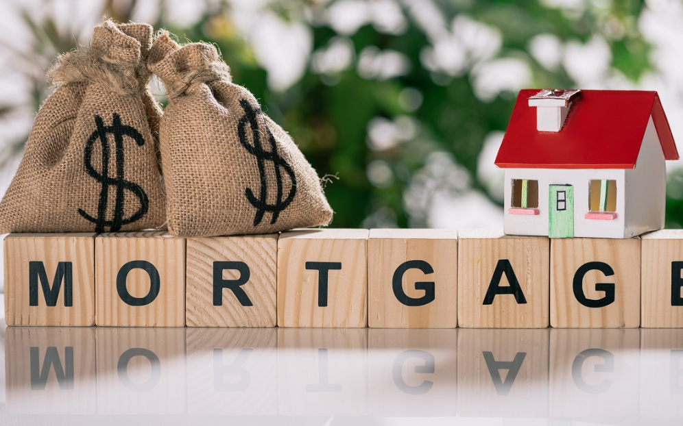 5 Types of Home Mortgage Loans in New Zealand Explained