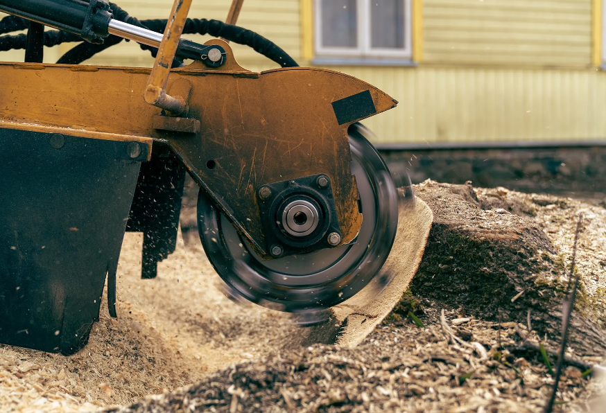 The Significance of Timely Stump Grinding on the Gold Coast