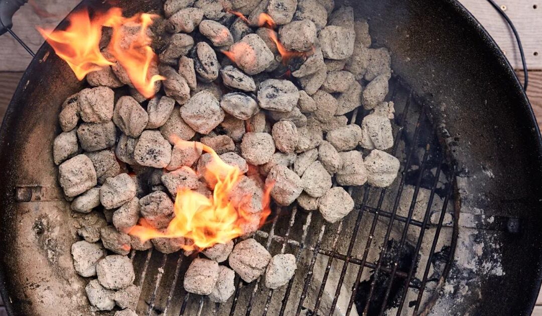 Get The Best Charcoal For Restaurant With Charcoal Australia